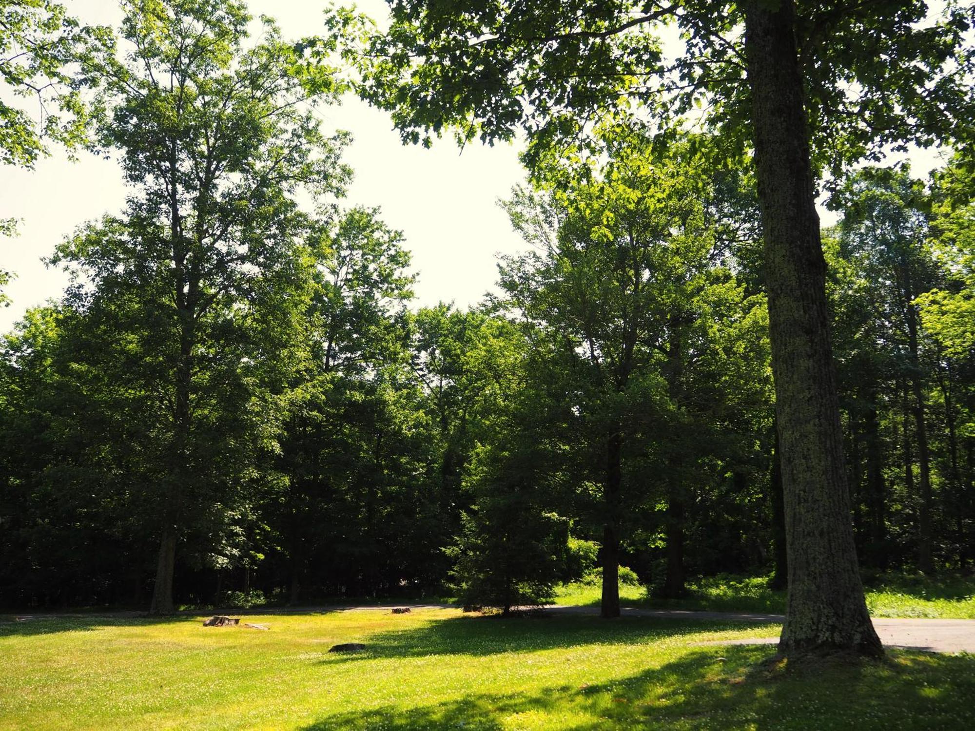 Woodfield Manor - A Sundance Vacations Property Cresco Esterno foto