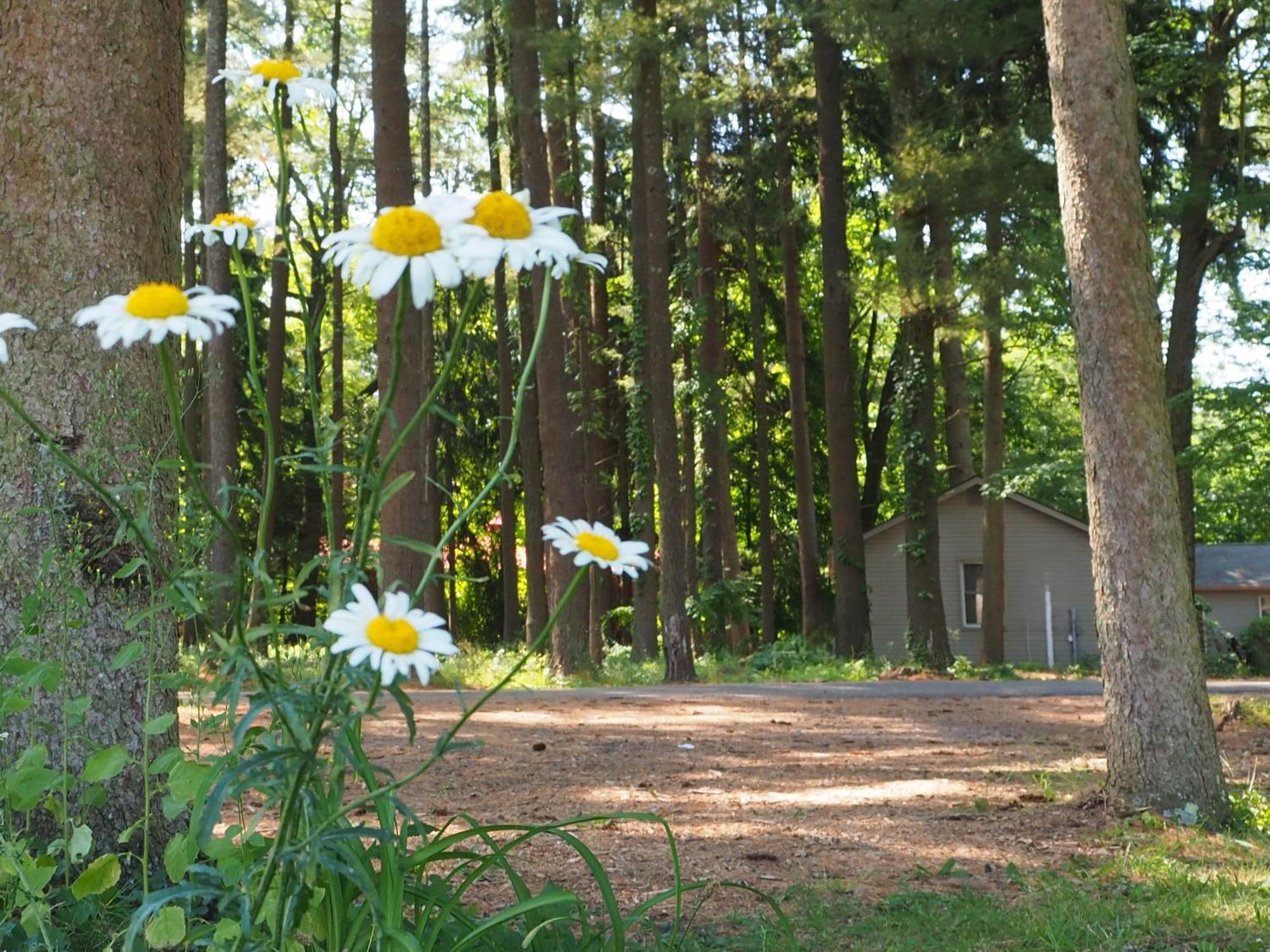 Woodfield Manor - A Sundance Vacations Property Cresco Esterno foto